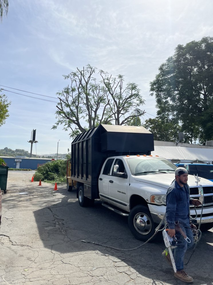 Ceron Landscaping