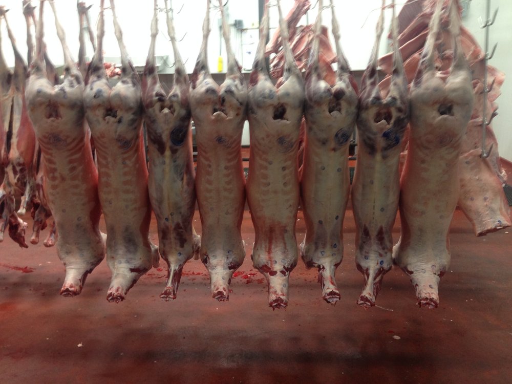 Berry & Sons Islamic Slaughter House Meat Shops 2496 Orleans St