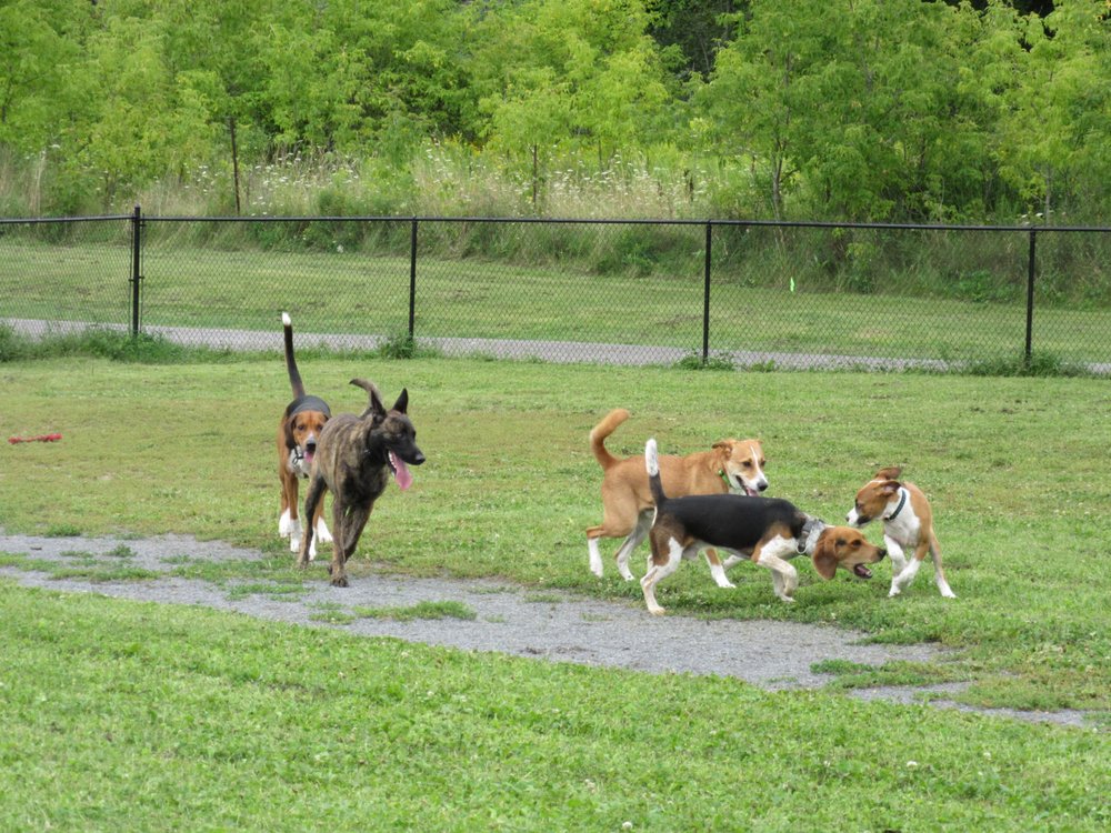 Gananoque Off Leash Dog Park Gananoque Off Leash Dog Park