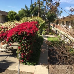 El Cortez Apartments 10 Reviews 2230 W Orange Ave Photo Of El Cortez Apartments Anaheim Ca United States Trees