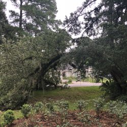 Rf Tree Service 66 Photos 17 Reviews Services 2102 Photo Of Rf Tree Service Houston Tx United States A Fallen Oak