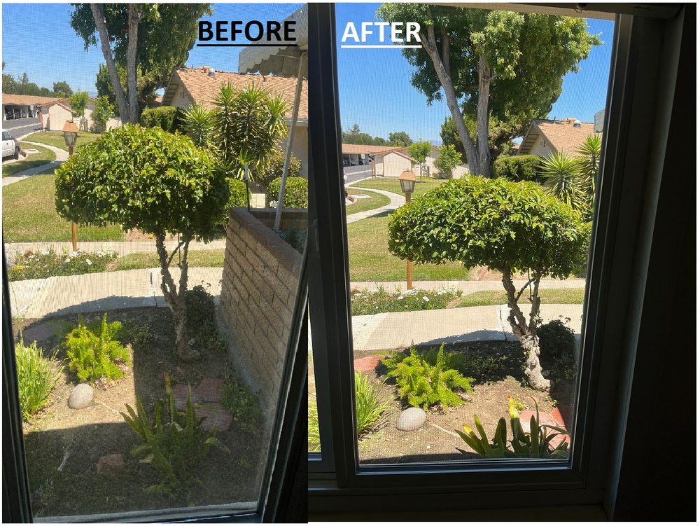 Dale's Maintenance Window Cleaning