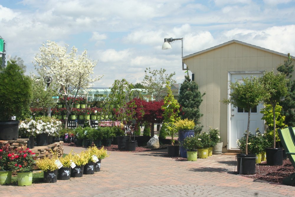 Nursery Yelp Photo Of Sunny Meadows Greenhouse Boonsboro Md United States Nursery