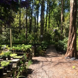 Sonoma Horticultural Nursery 13 Photos Nurseries Gardening Photo Of Sonoma Horticultural Nursery Sebastopol Ca United States