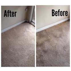 Al Shatei Halal Cleaning Service