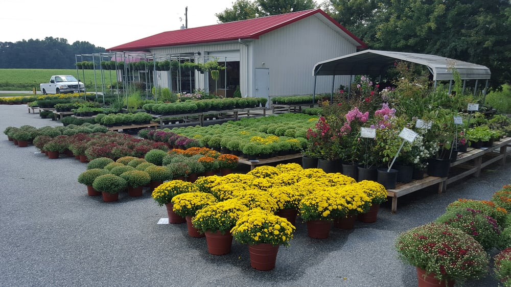 Earthworks Nursery & Landscaping 30 Allen Rd, Clayton, NC 2019 All