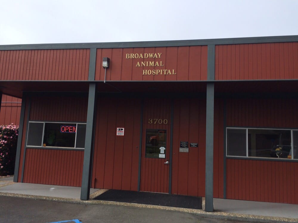Broadway Animal Hospital 16 Reviews Veterinarians 3700 Broadway