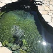 The Pond Guy 13 Photos Nurseries Gardening 15425 Chets Way Join Their Mailing Photo Of The Pond Guy Armada Mi United States Semi Formal