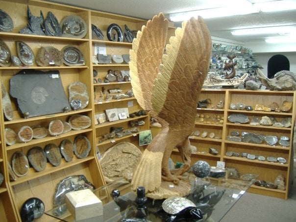 Jewelry and Minerals of Las Vegas, Some Fossils Yelp