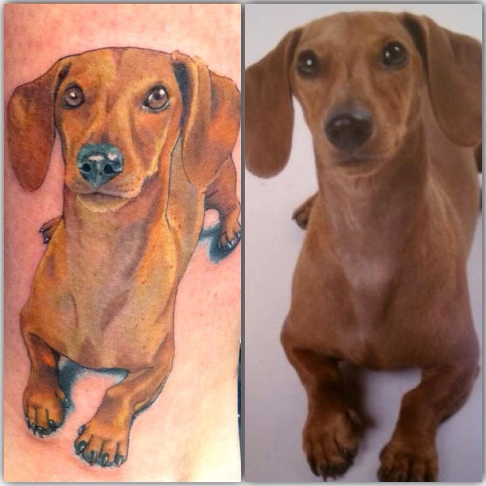 portrait of my dog done by brian pittman on august 2011 yelp portrait of my dog done by brian pittman on august 2011 yelp