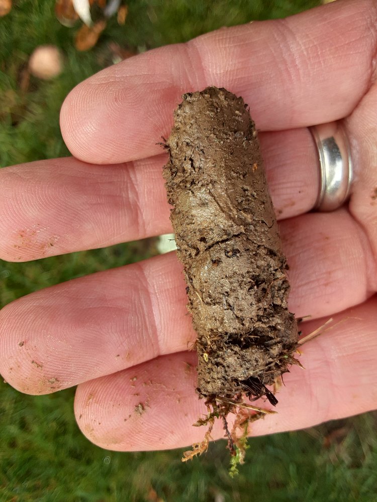 Andrew's Aeration
