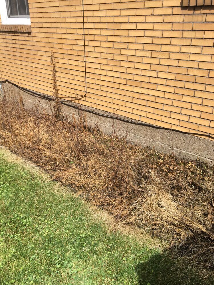 Matt's Lawn Services