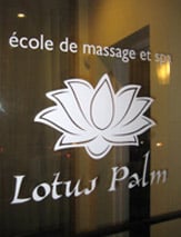 Lotus Palm