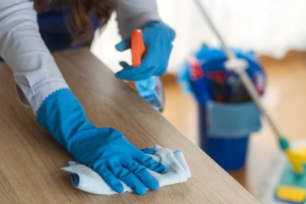 Maidit Cleaning Services