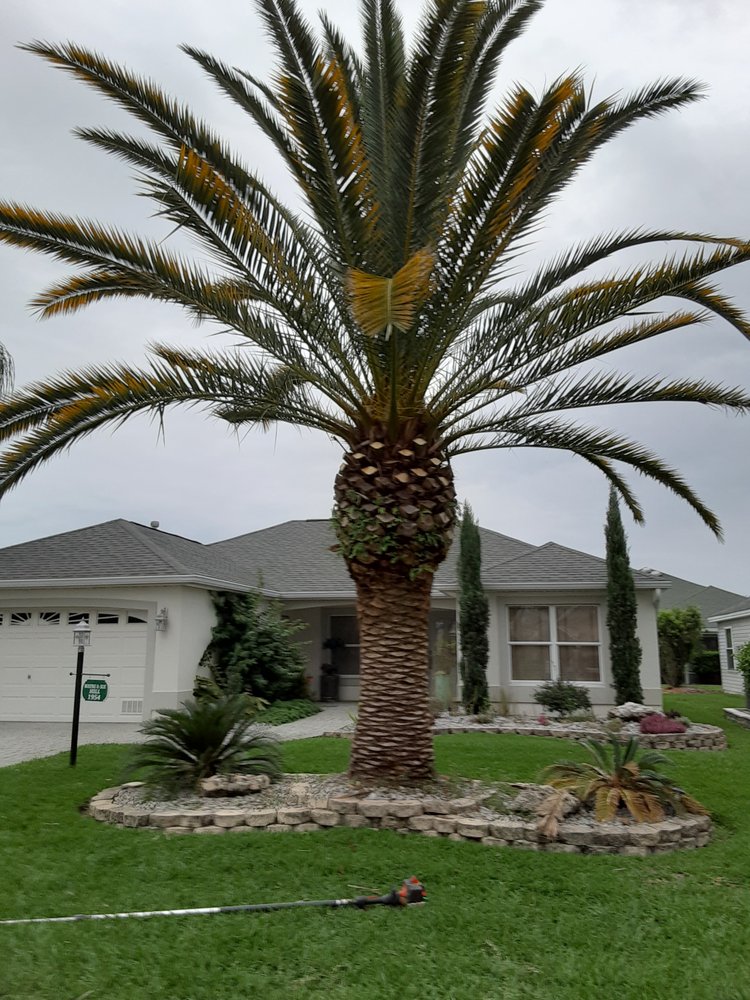 B. J.'s Tree Trimming