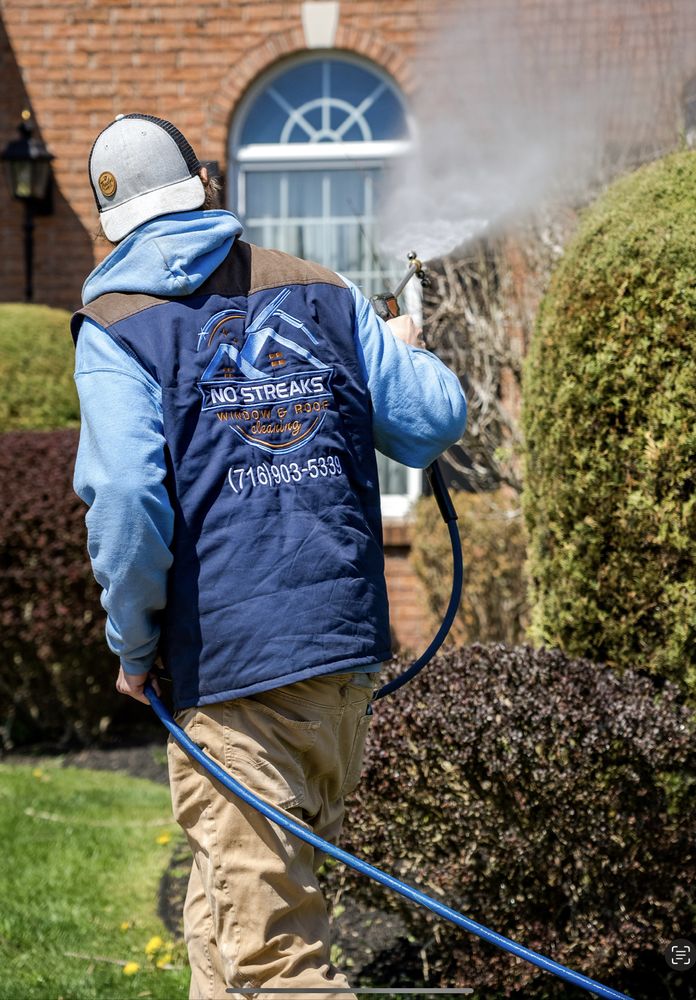 No Streaks Window & Roof Cleaning