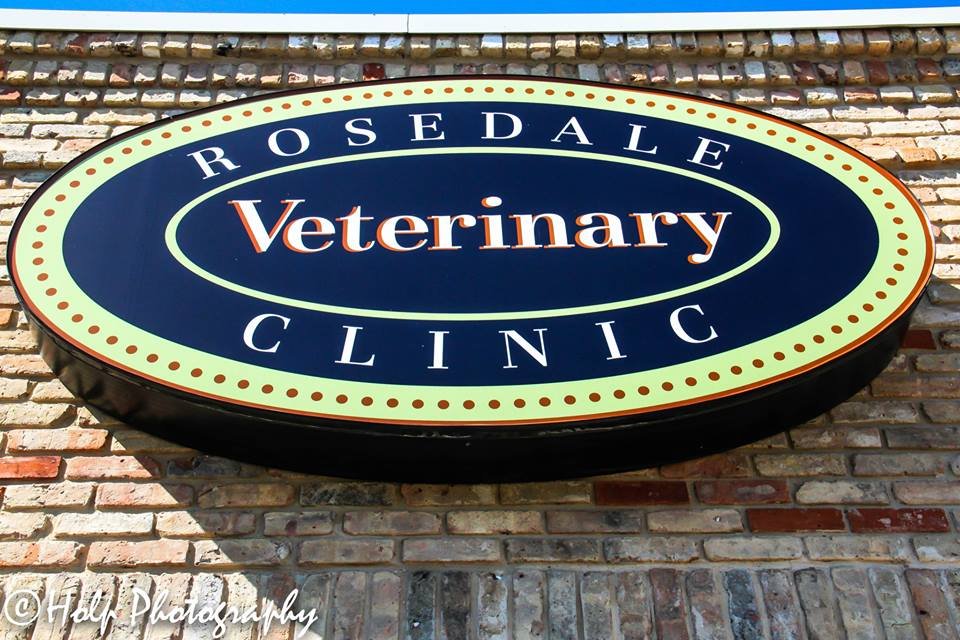 Rosedale Veterinary Clinic 15 Photos &amp; 35 Reviews