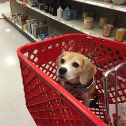 are dogs allowed in target target 27 reviews department stores 7400 s gartrell rd co united are dogs allowed in target target 27 reviews department stores 7400 s gartrell rd co united