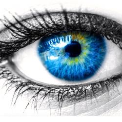 purevision optometry optometrists 1099