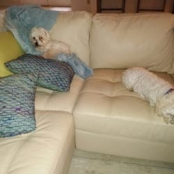 Photo of Lovett's Lovin Pet & Home Care - Naples, FL, United States. My company this weekend