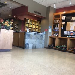 Deerfield Animal Hospital photo