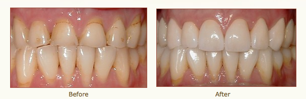 image of business Holyoke Mall Dental