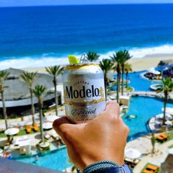 grand solmar lands end resort spa 397 photos 108 reviews va cabo form