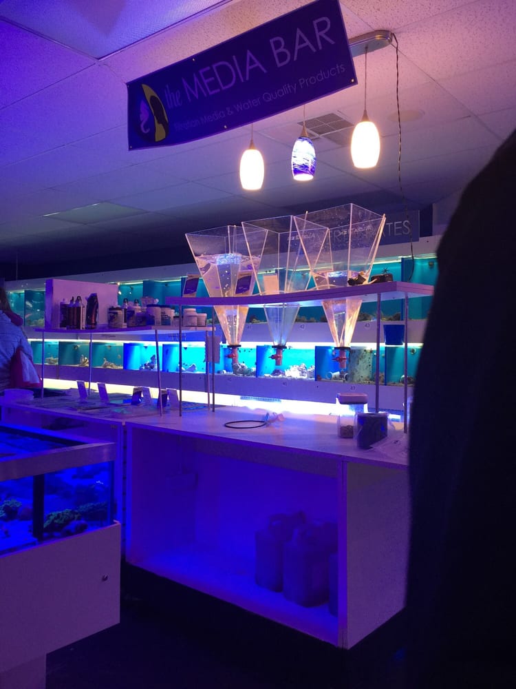 Aquarium Care Center 18 Photos Aquarium Services 1105 Rt 35 N