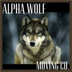 alpha wolf moving 11 photos 22 reviews movers suitland md