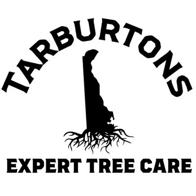 Tarburton's Tree and Landscaping