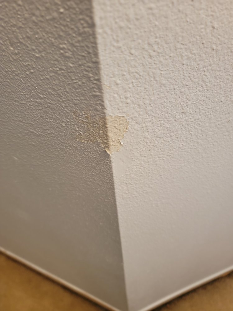 Clean Crawls - Insulation Install & Removal Marysville