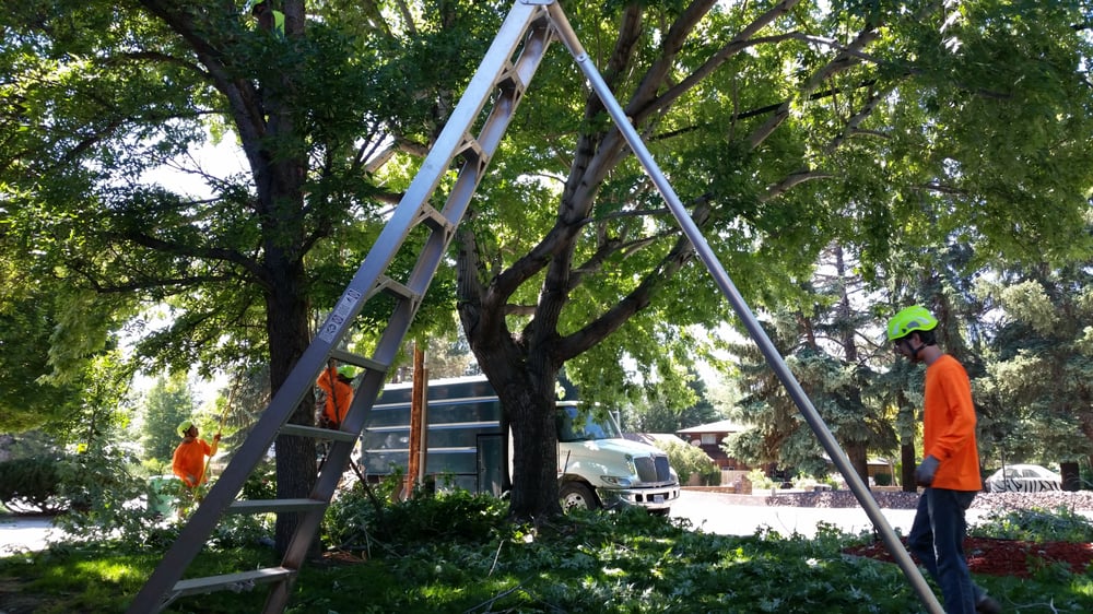 green tree servicing