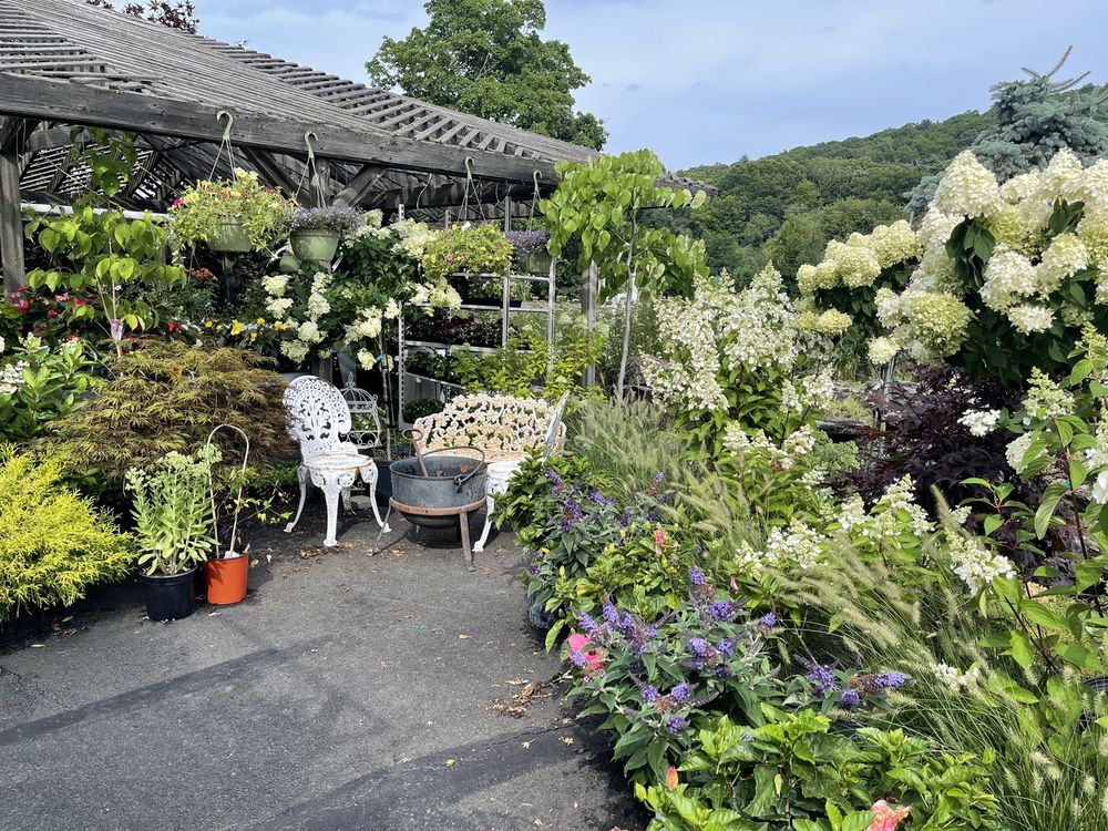 Hickory Hollow Nursery and Garden Center