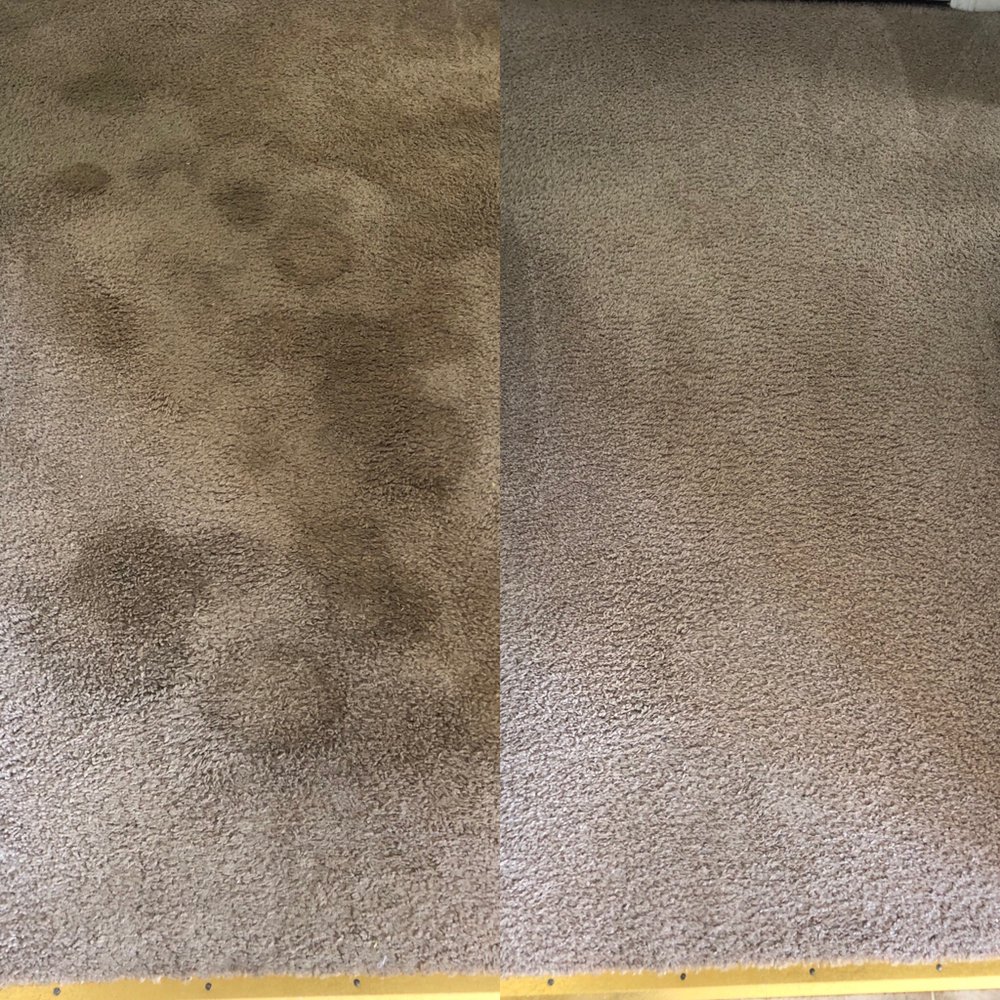 Ericson Carpet Cleaning
