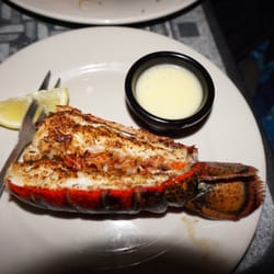 Shuckers Oyster Bar Grill 147 Photos 237 Reviews Seafood Photo Of Shuckers Oyster Bar Grill Wake Forest Nc United States