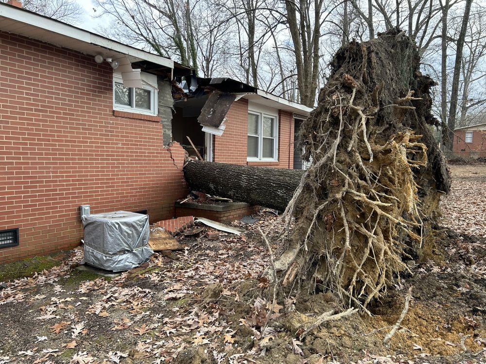 Deadwood Tree & Land Management