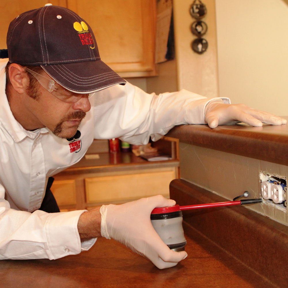 Truly Nolen Pest Termite Control 10 Photos 6594 Truly Nolen Pest Termite Control 10 Photos 6594 E 2nd St Prescott Valley Az Phone Number Yelp