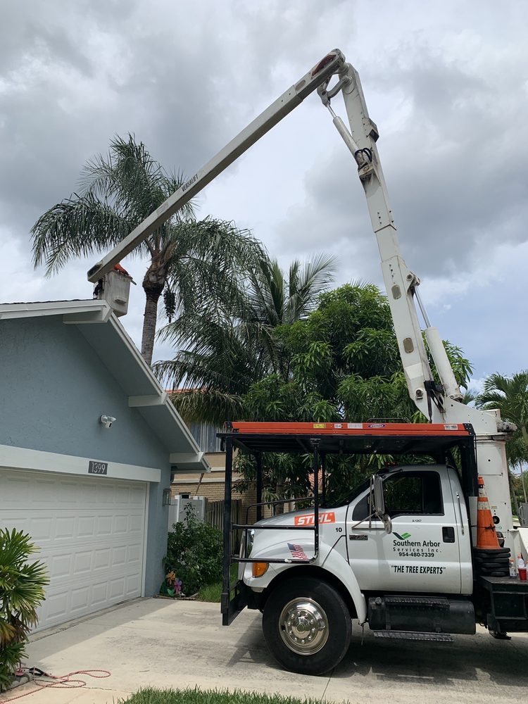 Southern Arbor Services