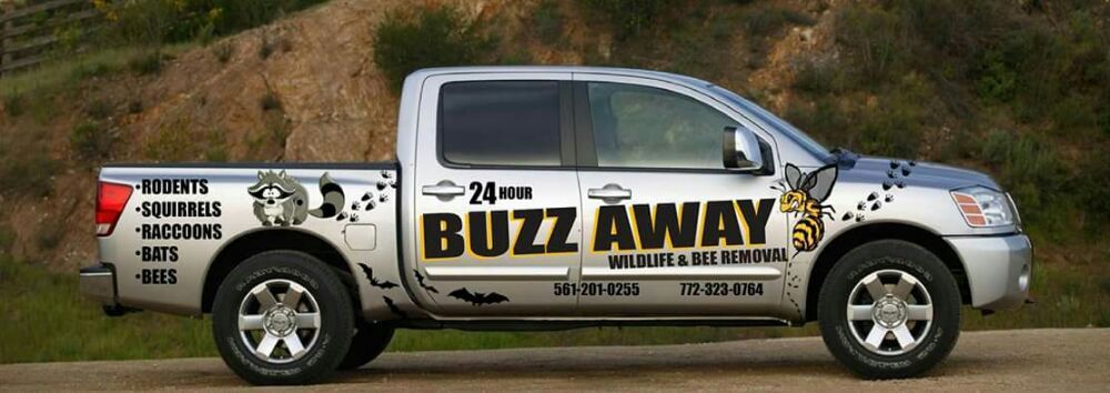 Buzz Away Wildlife Carolinas