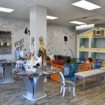 forever love puppies reviews