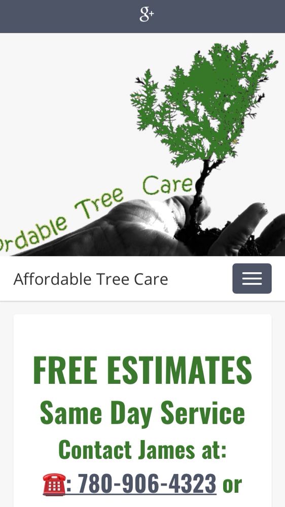 Affordable Tree Care