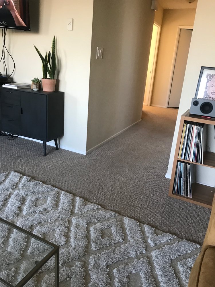 Carpet Care By Mark