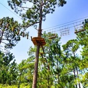 Go Ape 15 Photos 22 Reviews Challenge Courses 200 Cypress Photo Of Go Ape North Myrtle Beach Sc United States
