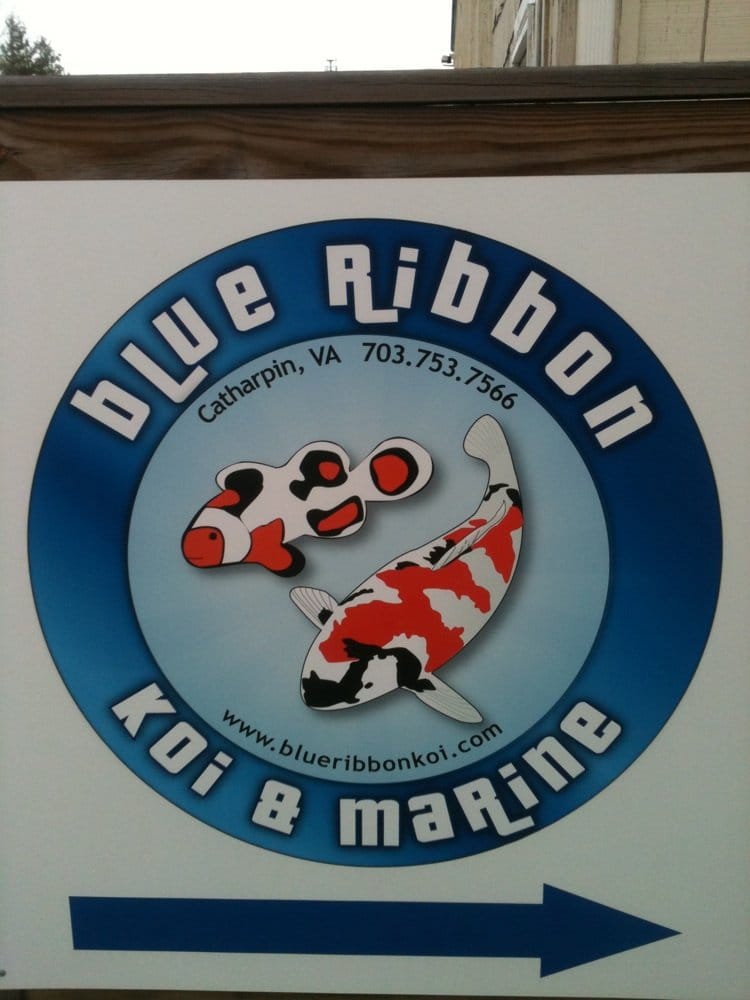 Blue Ribbon Koi & Marine Products