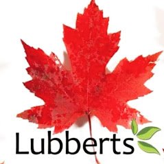 Lubberts Landscaping and Maintenance