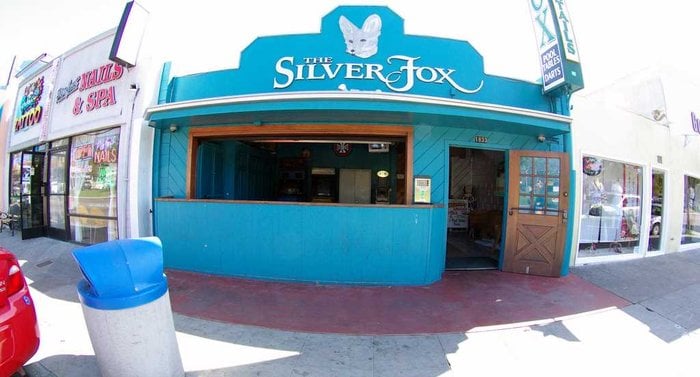 The Silver Fox