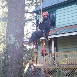 Tree Service Brunswick  Photo of Driscoll Tree Service - Brunswick, ME, United States. Servicing a client