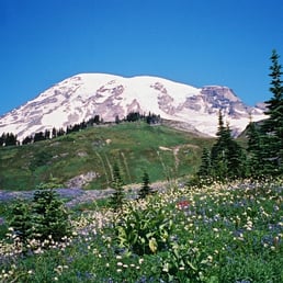 rock camp cougars personals Widowsorwidowerscom is a dating website bringing widows and widowers together since 2004 many success stories of widows and widowers who have connected and started dating again after losing their partner. rock camp cougars personals Widowsorwidowerscom is a dating website bringing widows and widowers together since 2004 many success stories of widows and widowers who have connected and started dating again after losing their partner.