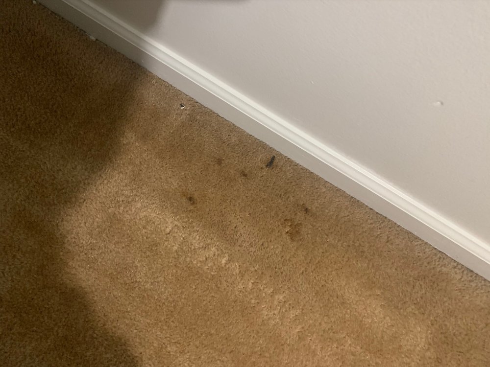 Ashley Park Apartments