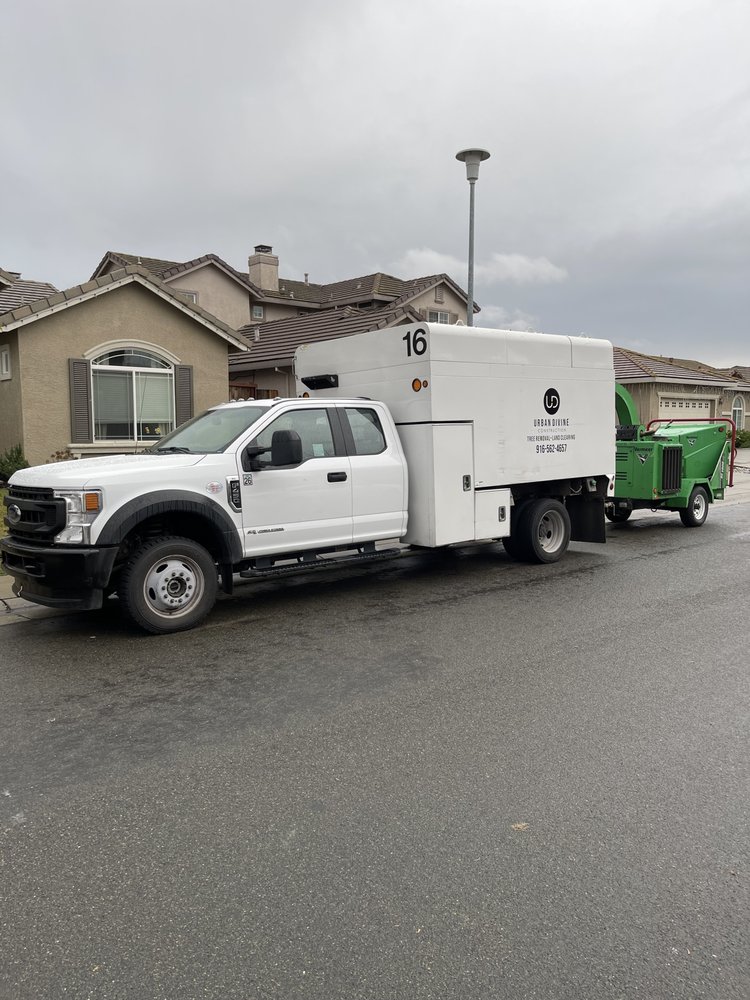 image of business Urban Divine Construction